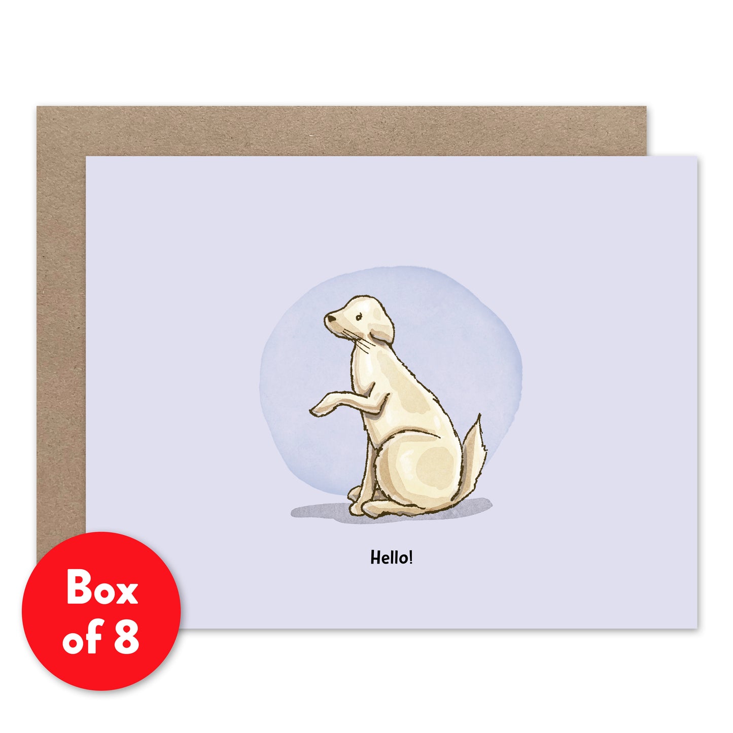 Phinn: Hello! Card, Box of 8