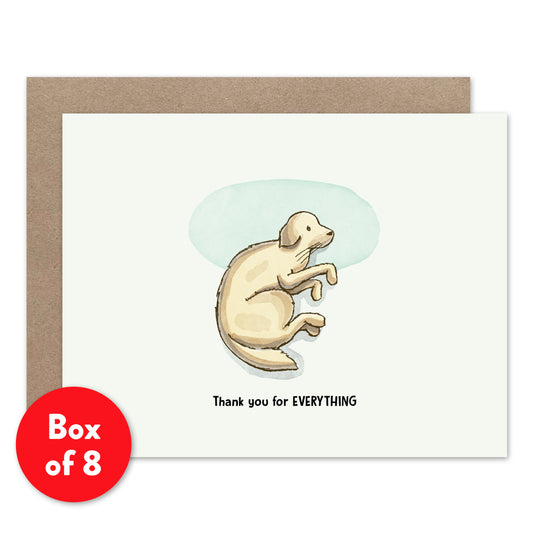 Phinn: Thank You Card, Box of 8