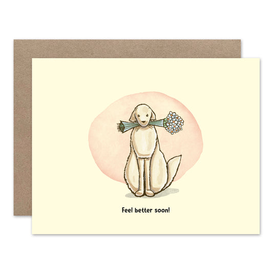 Phinn: Get Well Flowers